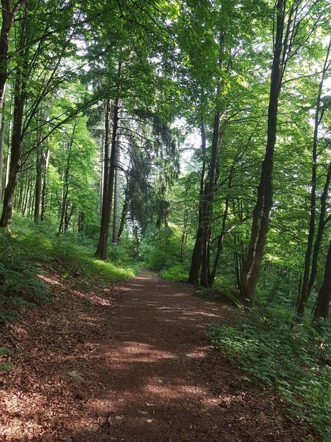 Ferienwohnungen.Ruhla Exteriér fotografie