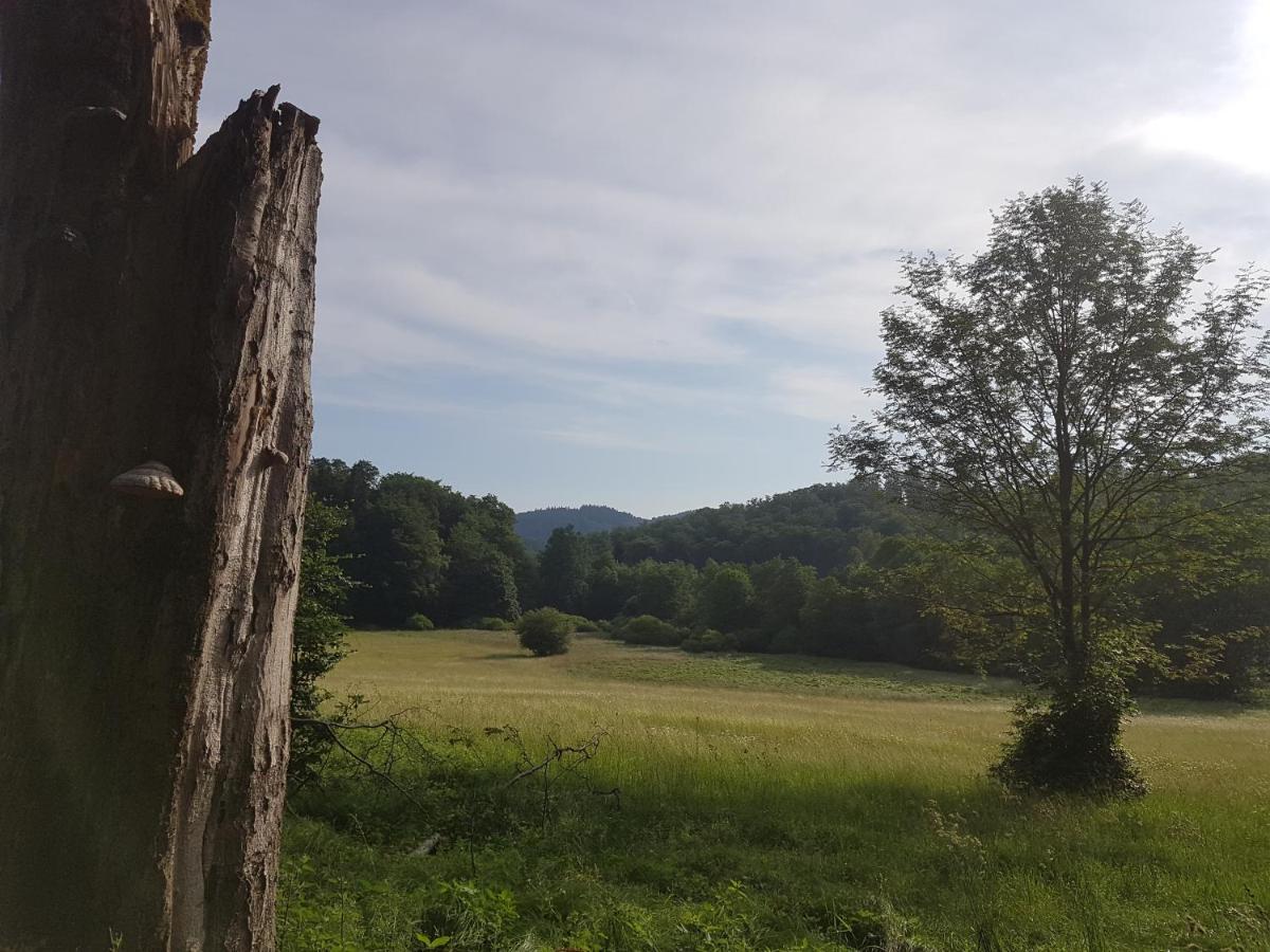 Ferienwohnungen.Ruhla Exteriér fotografie